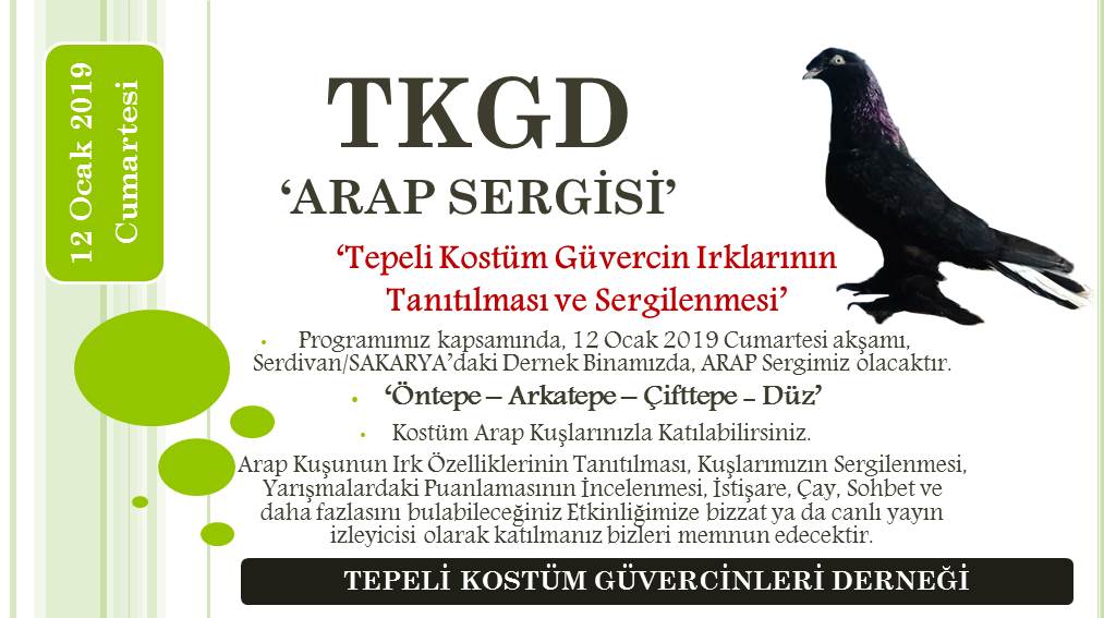 Arap Sergisi